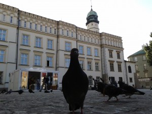 6 Muzeum na kółkach z gołębiej perspektywy Zdjęcie-0201